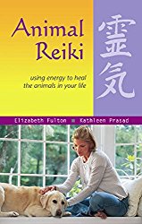 Animal Reiki review